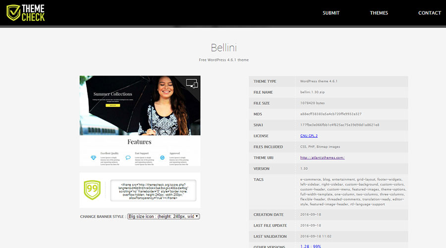 WordPress Theme Check