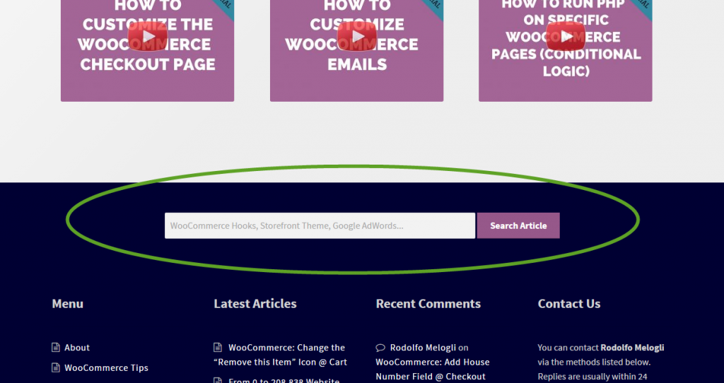 Business Bloomer's custom search bar in the footer