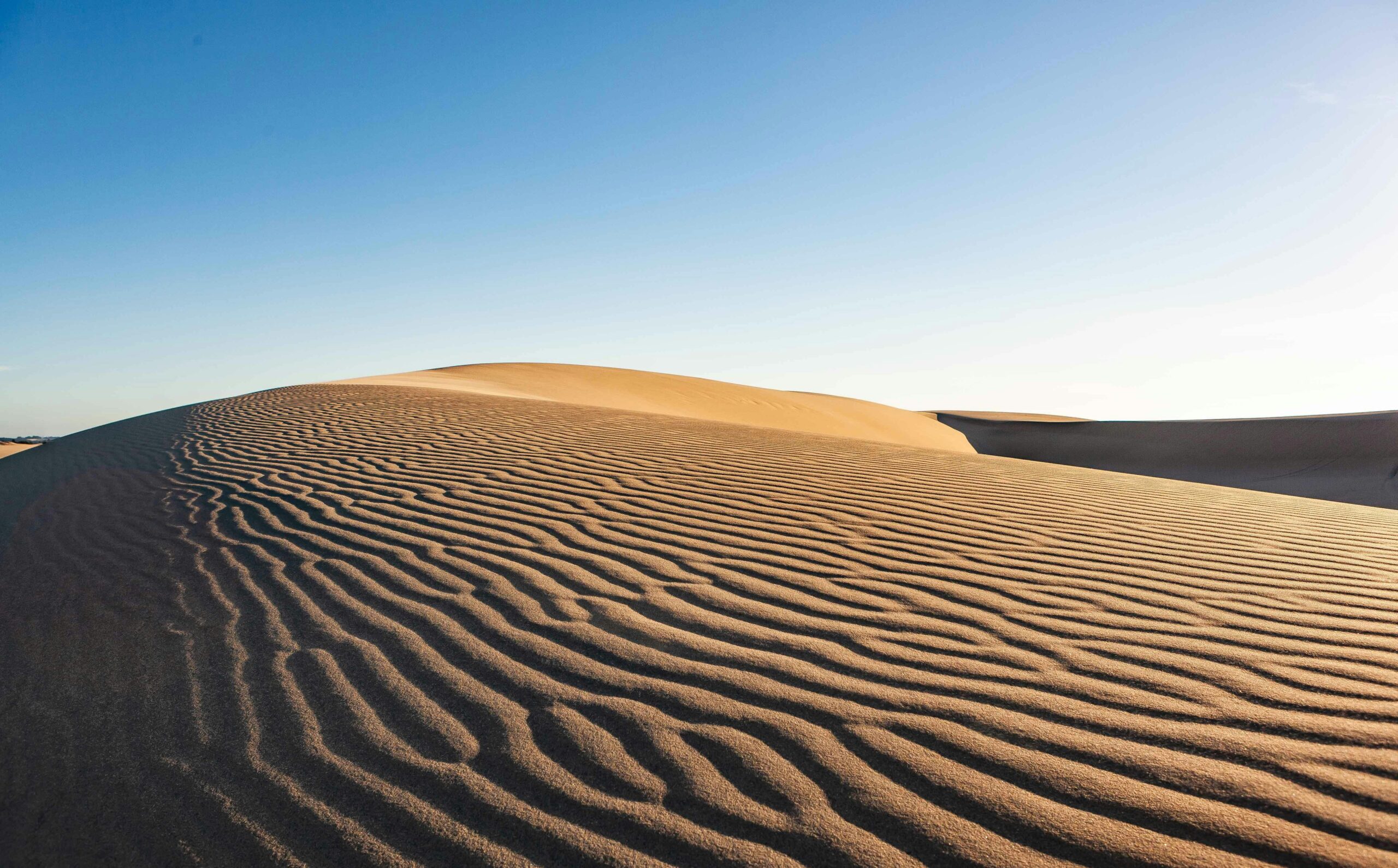 Beautiful sand dunes in Florence, Oregon showcasing serene, undulating patterns under a clear blue sky.