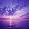 purple, nature, sunset, darling, see, clouds